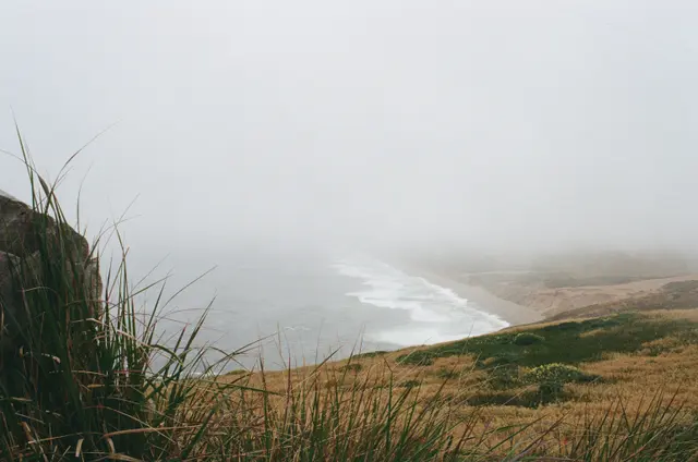 Photography by Jon Spengeman