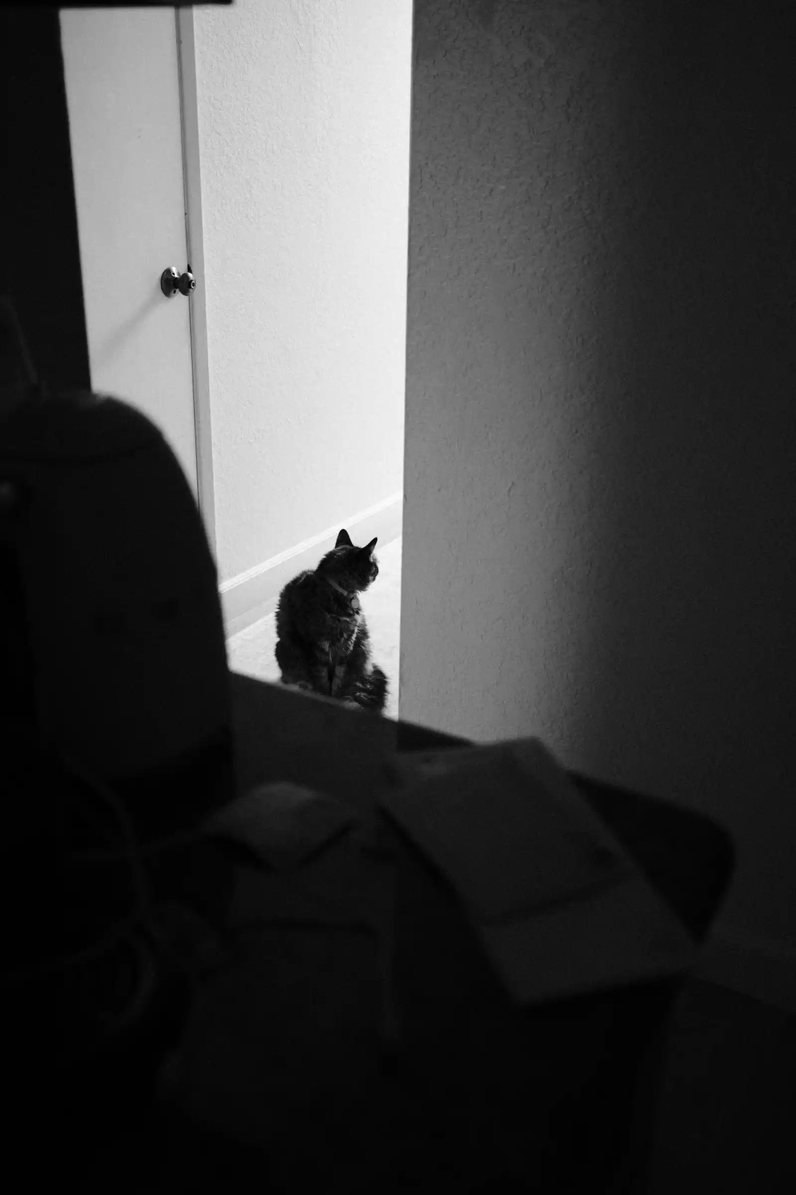 life — Spengy Photography