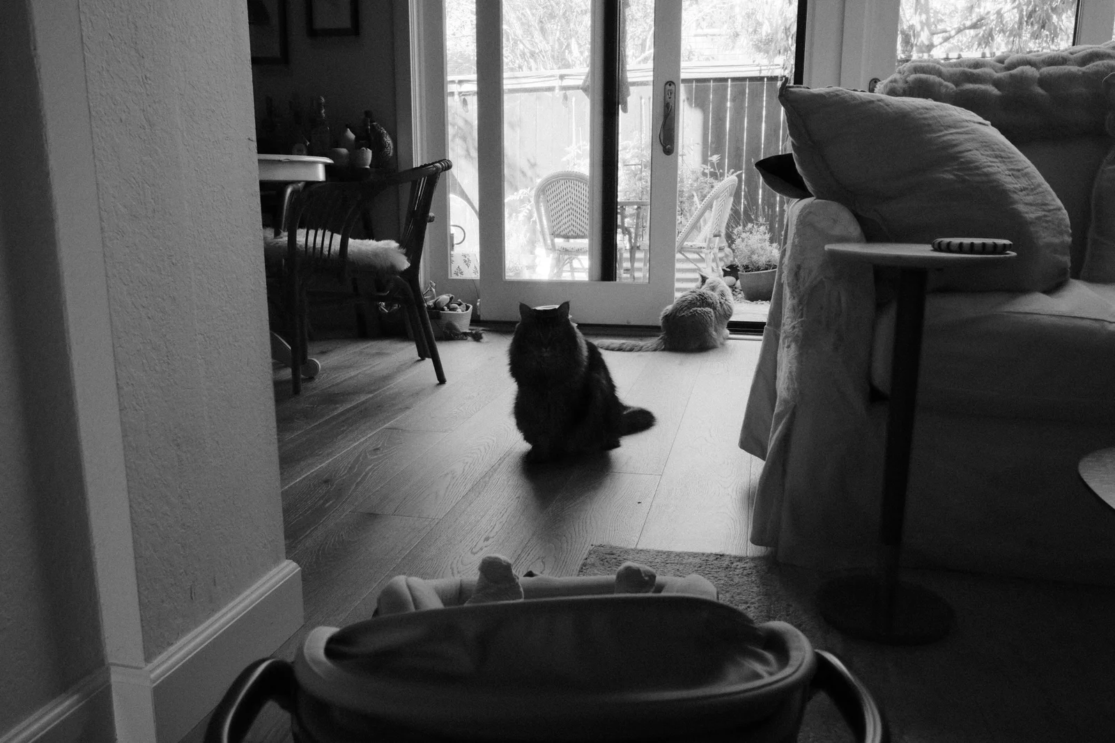 life — Spengy Photography