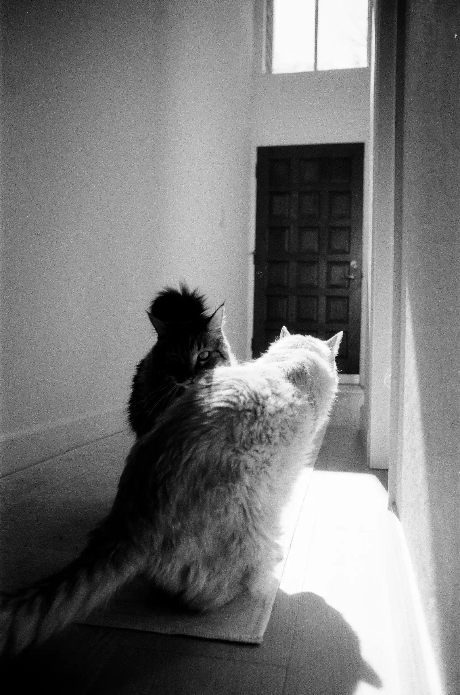 Photo 1 of 3 — life