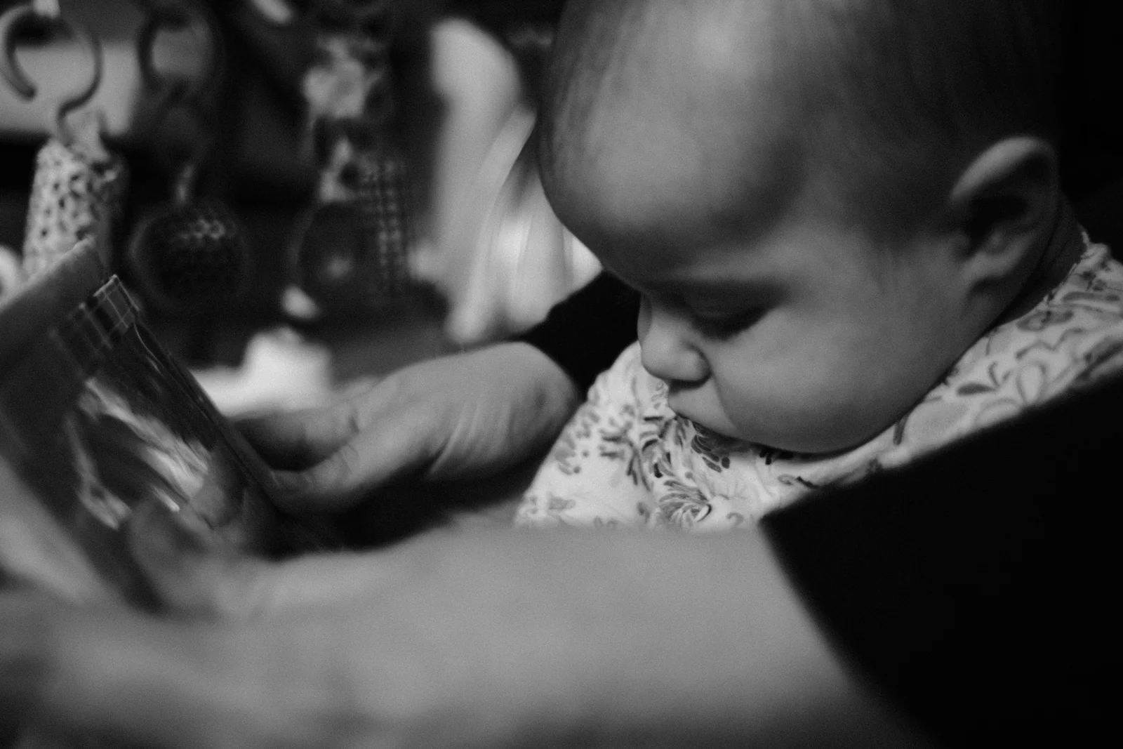 life — Spengy Photography