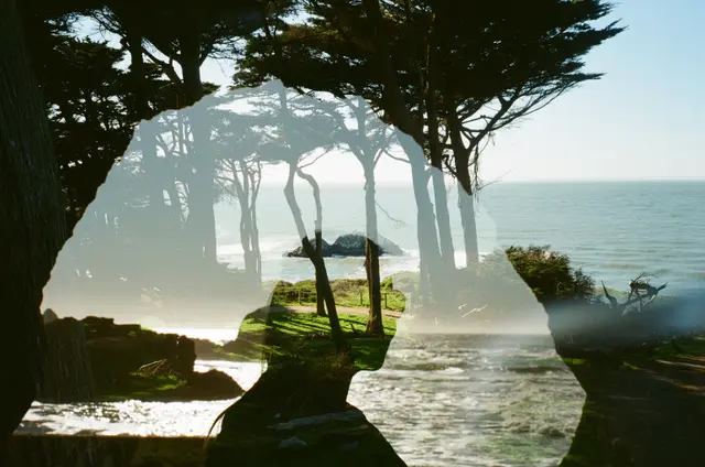 Photography by Jon Spengeman