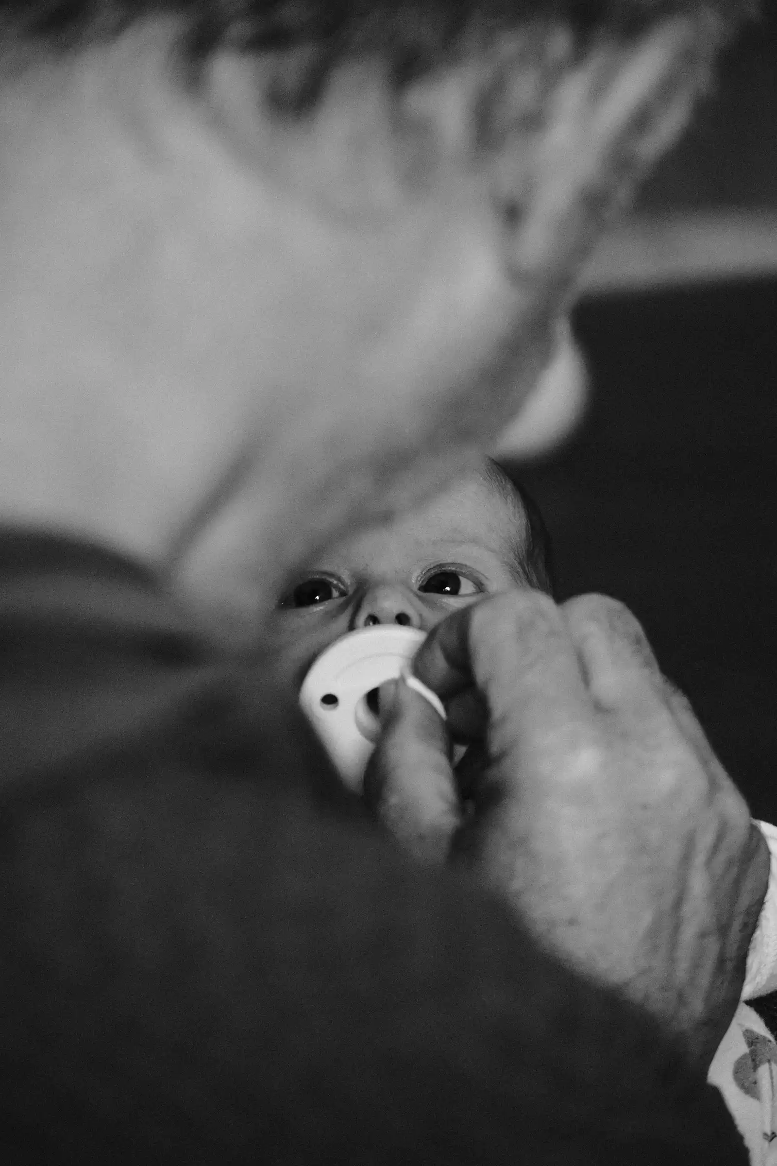 life — Spengy Photography