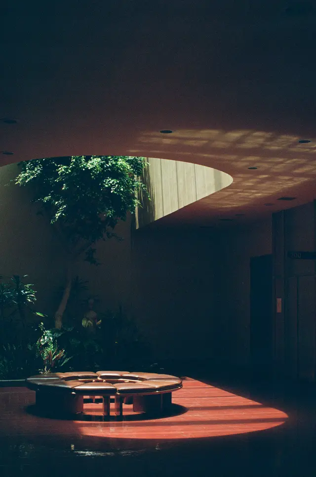 Photography by Jon Spengeman