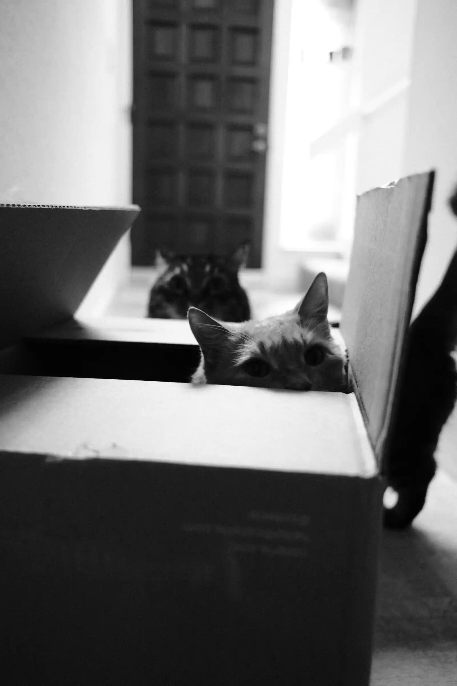 life — Spengy Photography