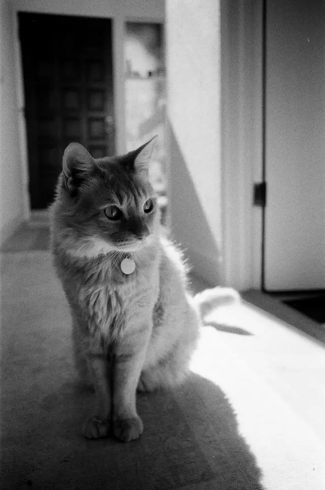 Photography by Jon Spengeman