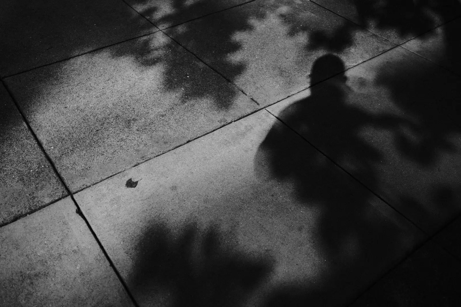 interstice — Spengy Photography