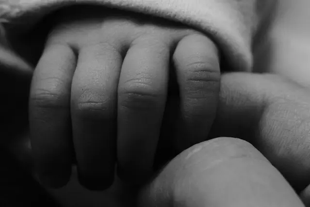 Photography by Jon Spengeman