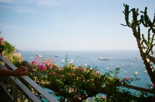 Photography by Jon Spengeman