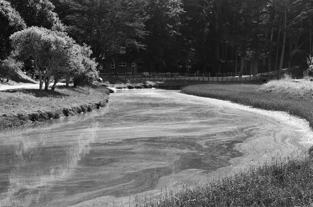 Photography by Jon Spengeman