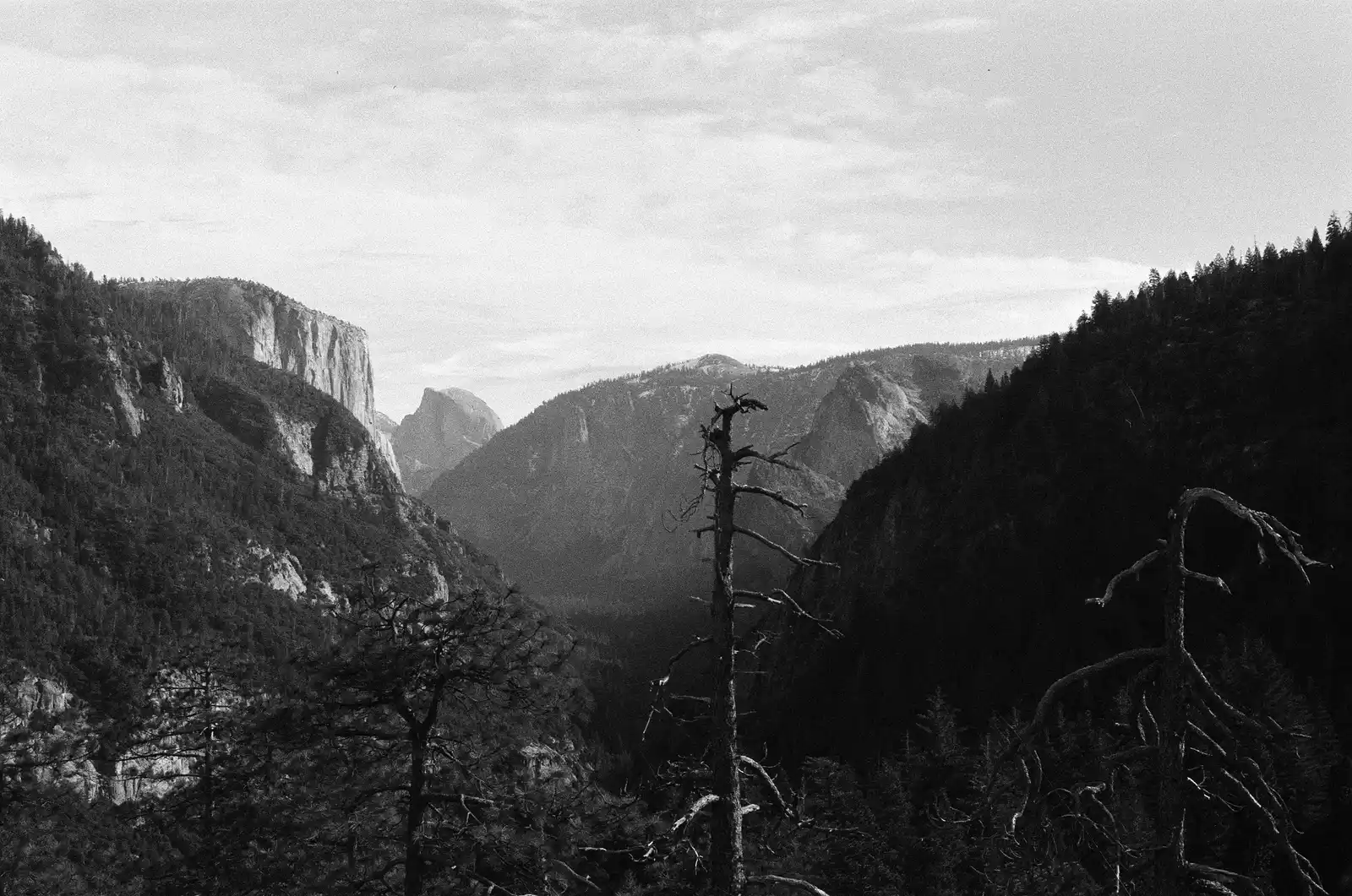 Photo 2 of 3 — Yosemite 2025