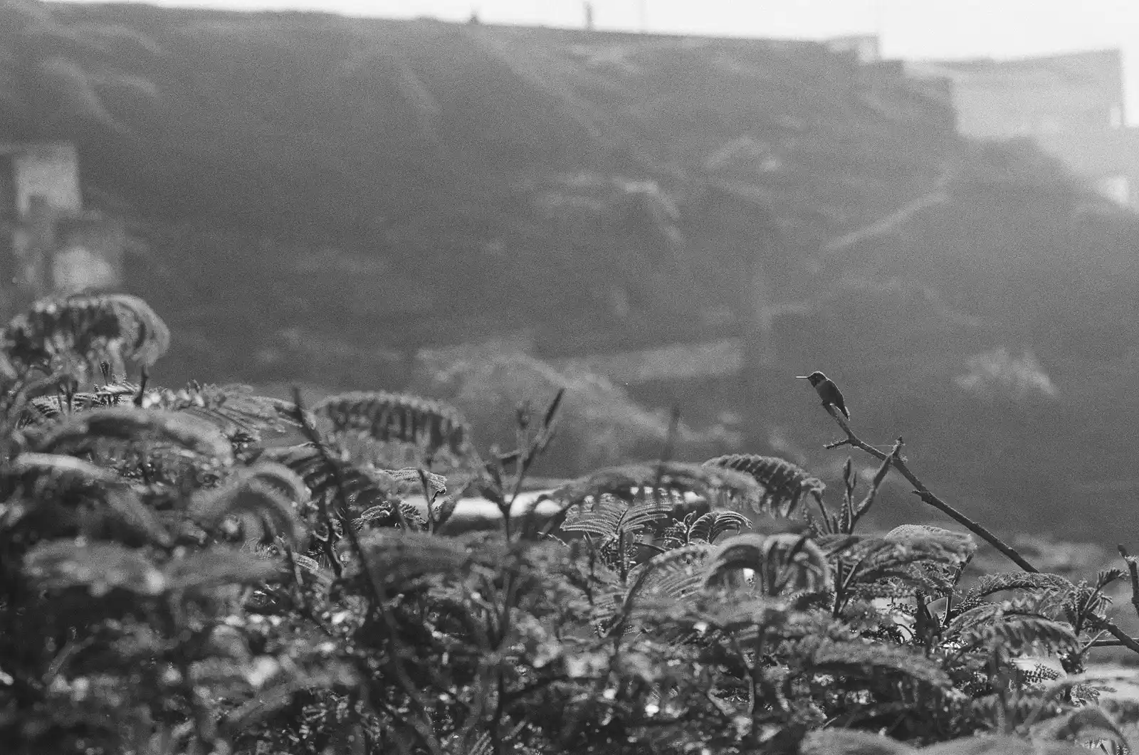 interstice — Spengy Photography