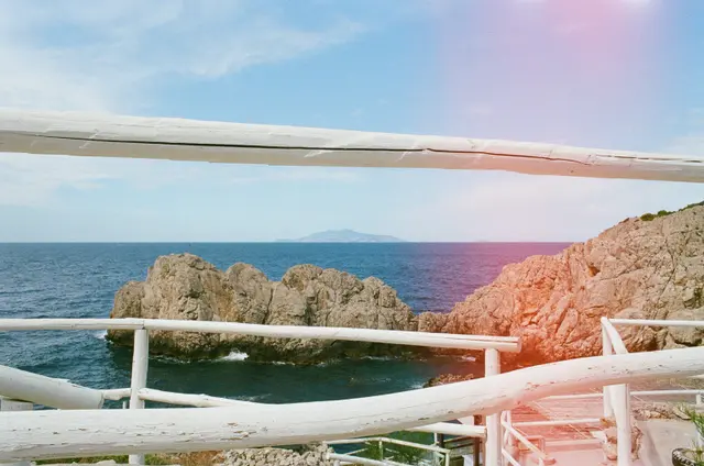 Photography by Jon Spengeman